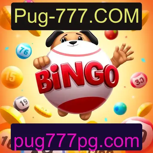 Jogos de bingo